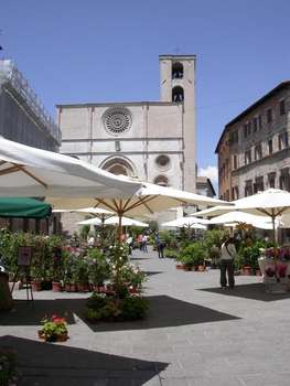 www.sanlorenzo3.it