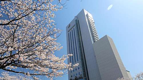 www.nikko-kochi.jp