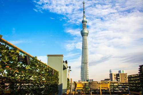 www.playsis-easttokyo.com