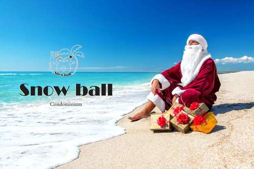 www.snowball-okinawa.com