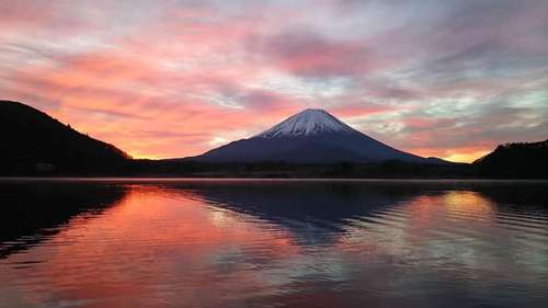 www.shojiko.com