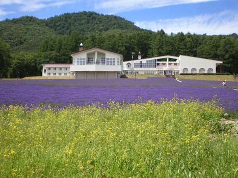 www.highland-furano.jp