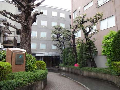 www.forest-hongo.com