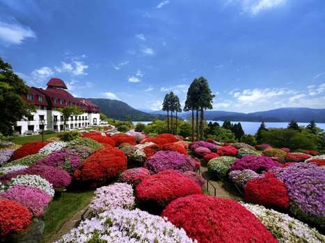 www.hakone-hoteldeyama.jp