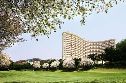 www.laviedorresort.co.kr
