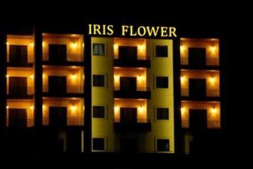 www.l-iris.com