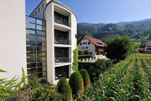 www.schatzmann.li