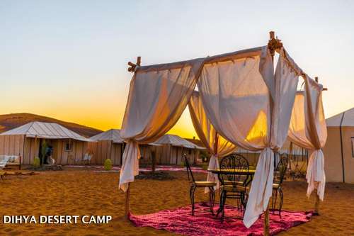 www.dihyadesertcamp.com