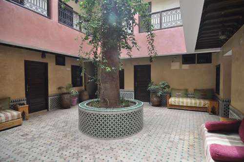 www.djemaaelfnahotelcecil.org