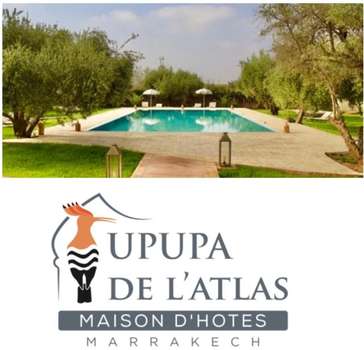 www.upupadelatlas.com