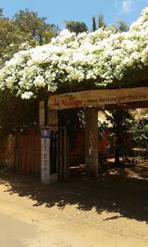 www.levillage-diego.com