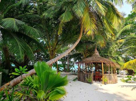 www.fehendhooisland.com