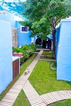 www.hotelmaculis.com