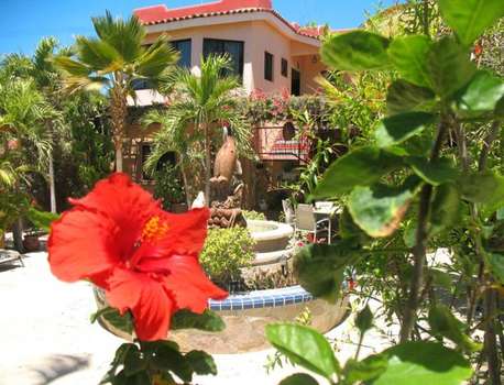www.haciendadepalmas.com