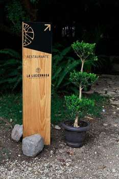 www.bosquesdelsolsuites.com