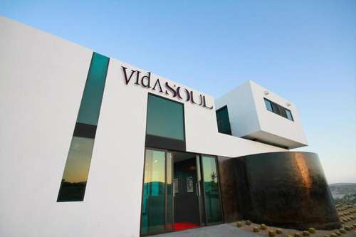 www.vidasoul.com