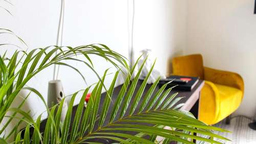 www.casalobe.mx