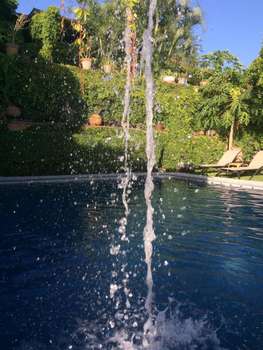 www.lacasadelguamuchil.com.mx