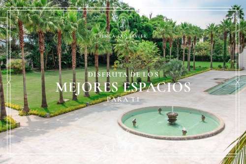 www.alofa.mx
