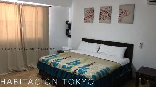 www.cabotortuga.com