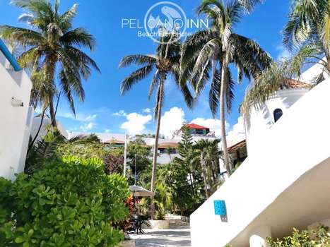 www.pelicanoinn.com