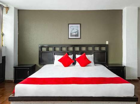 www.hotel-halley.com