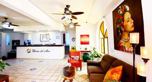 www.hotelpalomadelmar.com