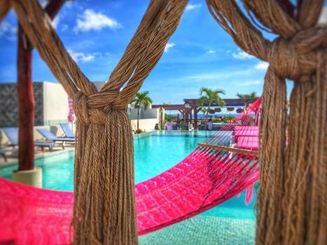 www.thepalmatplaya.com