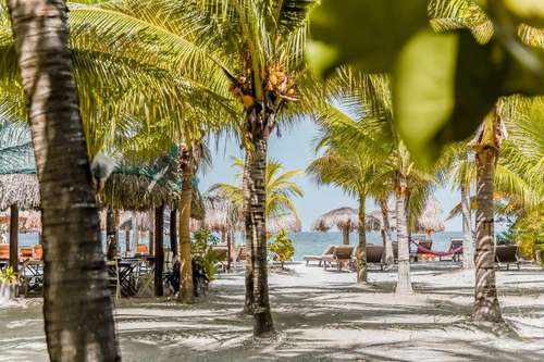 www.zomayholbox.com