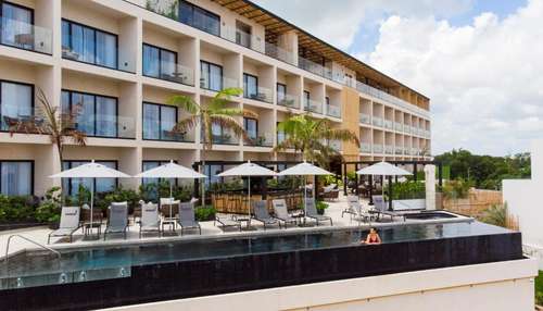 www.hivecancun.com