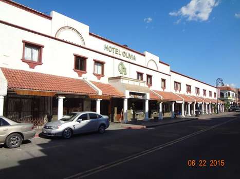 www.hotelolivianogales.com