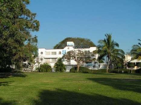 www.olinala.com