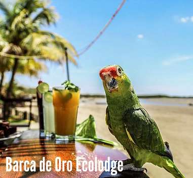 www.barcadeoro.com