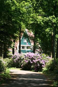 www.debaronesdalfsen.nl