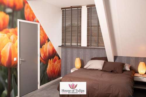 www.house-of-tulips.com