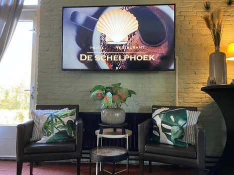 www.deschelphoek.nl