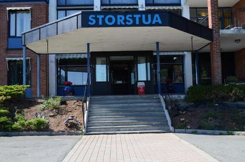 www.storstuaok.no