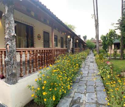 www.junglesafariresort.com