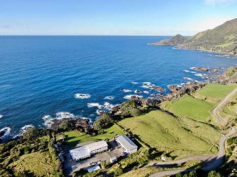 www.lottinpoint.co.nz