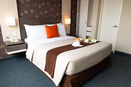 www.palmettohoteles.com