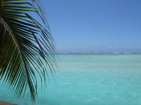 www.fenua-mataioa.com