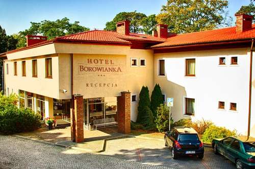 www.borowianka.pl