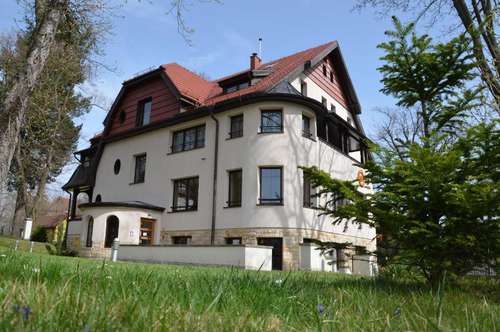 www.jasnydwor.pl