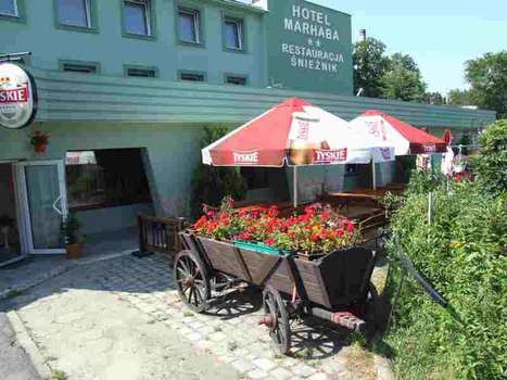 www.ng.pl