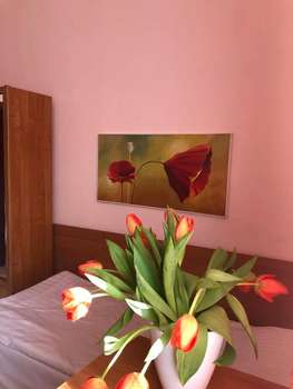 www.haga.pl