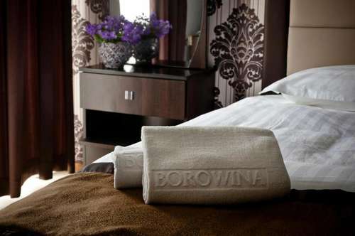 www.hotelborowina.pl