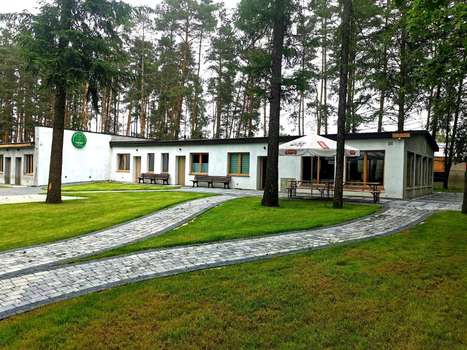 www.borowikmilicz.pl