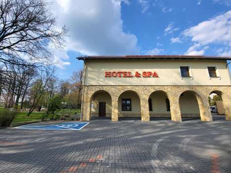 www.hotelaleksandra.pl