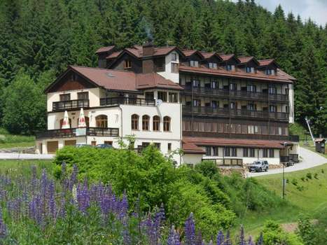 www.hotelzieleniec.pl