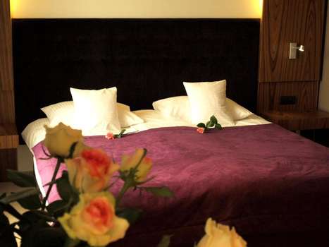 www.hotelniepolomice.pl